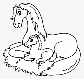 Horse And Foal Coloring Pages, HD Png Download, Free Download