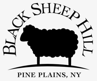 Black Welsh Mountain Roving - Black Sheep Transparent, HD Png Download, Free Download