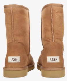 Ugg Boots Png, Transparent Png, Free Download
