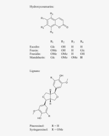 Ash Chemical Structure, HD Png Download, Free Download