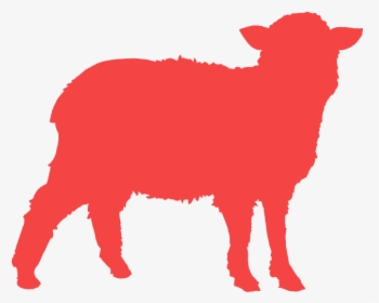 Sheep, HD Png Download, Free Download