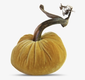 Pumpkin, HD Png Download, Free Download