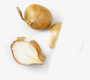 Onions - Peel, HD Png Download, Free Download