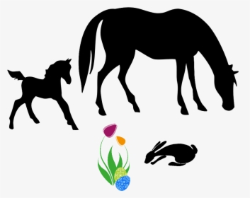 Transparent Easter Clipart Png - Horse Foal Silhouette, Png Download, Free Download