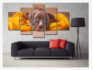 Loveable Pit Bull Puppy Medium Not Framed Cool Tees - Welder Wall Art, HD Png Download, Free Download