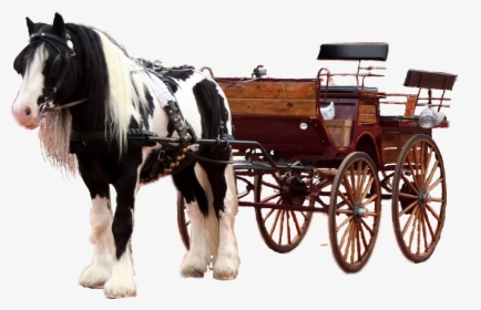 #horse #carriage #carriageride #gypsyvanner #sdpatiencedaddy - Cart, HD Png Download, Free Download