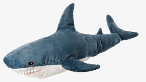 Whale Shark, HD Png Download, Free Download