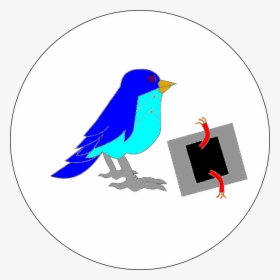 Machine Bird - Mountain Bluebird, HD Png Download, Free Download