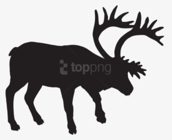 Free Png Fallow Deer Silhouette Png - Footprints Of Animals Of North America, Transparent Png, Free Download