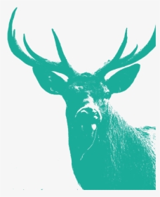 Reindeer Illustration Clip Art Antler Silhouette - Elk, HD Png Download, Free Download