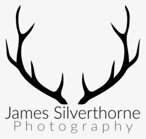 Deer Antlers Clipart Black And White - Antler, HD Png Download, Free Download