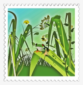 Iris, HD Png Download, Free Download