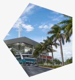 Frame - Hard Rock Stadium Palm Trees, HD Png Download, Free Download