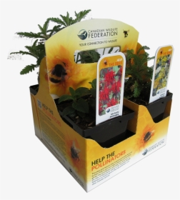 Bee Plant Pack - Canadian Wildlife Federation, HD Png Download, Free Download