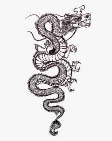 Tattoo Chinese Illustration Dragon Vector Hand-painted, HD Png Download, Free Download