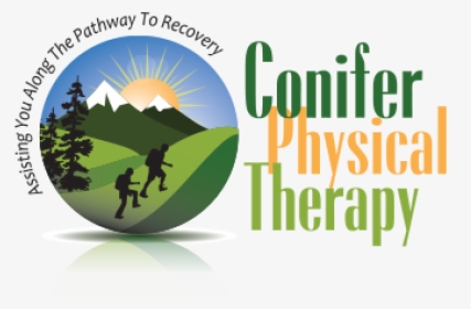 Conifer Physical Therapy Logo - Tree, HD Png Download, Free Download