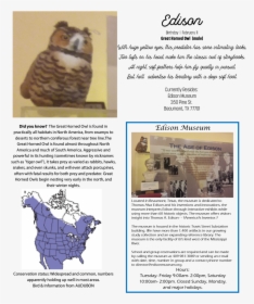 Great Horned Owl - Map, HD Png Download, Free Download