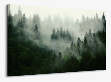 Foggy Forest, HD Png Download, Free Download