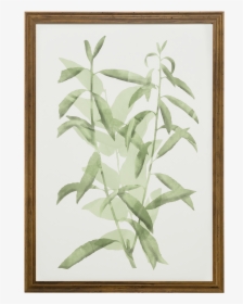 Watercolor Botanical I - Picture Frame, HD Png Download, Free Download