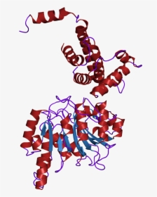 2ar0 Structure - Dna Methyltransferase, HD Png Download, Free Download