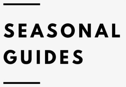 Botanical Folk Seasonal Guides - Term Condition Png, Transparent Png, Free Download