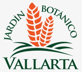 Vallarta Botanical Gardens - Jardin Botanico Puerto Vallarta, HD Png Download, Free Download