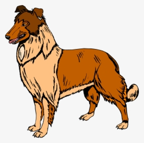 Collie Clipart Real Dog - Dog Clipart, HD Png Download, Free Download