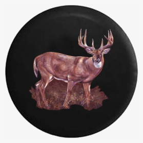 Big Brown Deer Buck With Big Rack In The Woods Rv Camper, HD Png Download, Free Download