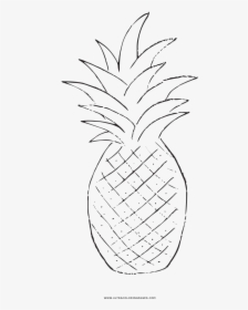 Pineapple Coloring Page - Line Art, HD Png Download, Free Download