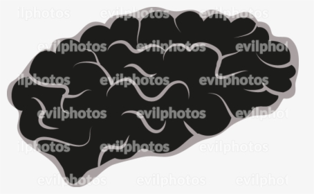 Brain Drawing Vector And Stock Photo - Label, HD Png Download, Free Download
