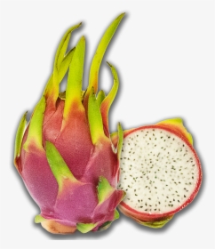 Read More About This Crazy Looking Fruit - Pitaya, HD Png Download, Free Download