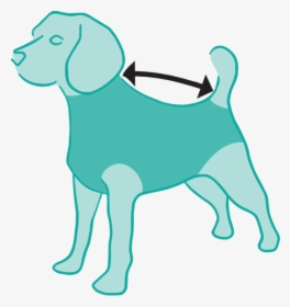 Size Measured From Collar To Base Of The Tail - Dog, HD Png Download, Free Download