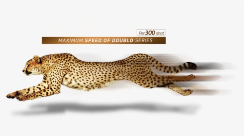 Speed Faster Png, Transparent Png, Free Download