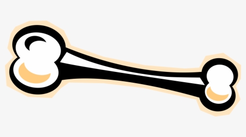 Vector Bone Femur Clip Royalty Free Library - Vector Graphics, HD Png Download, Free Download
