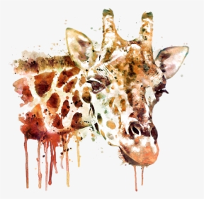 Watercolor Painting Of A Giraffe, HD Png Download, Free Download