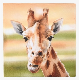 Paper Napkins Giraffe 33x33cm - Servetten Giraffe, HD Png Download, Free Download