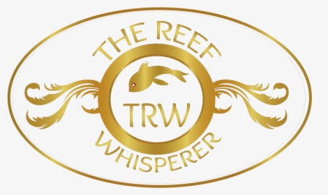 Label, Transparent Png - Label, Png Download, Free Download