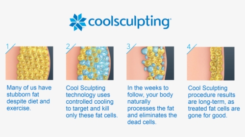 Coolsculpting, HD Png Download, Free Download