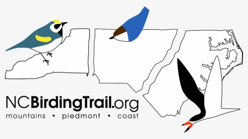 North Carolina Birding Trail, HD Png Download, Free Download