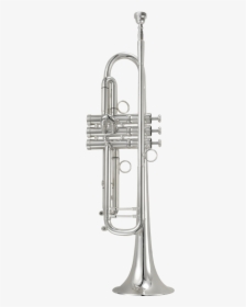 Trumpet, HD Png Download, Free Download