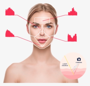 Transdermal Optical Imaging, HD Png Download, Free Download