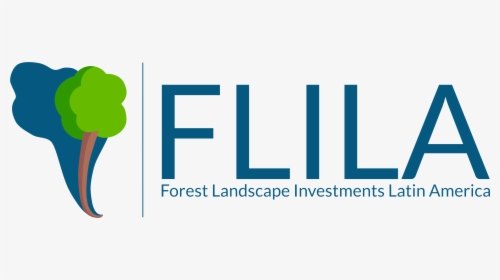 Forest Landscape Investments In Latin America - Graphic Design, HD Png Download, Free Download