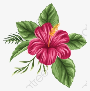 Hibiscus Flower Clipart - Hibiscus Hawaiian Flower Drawing, HD Png Download, Free Download