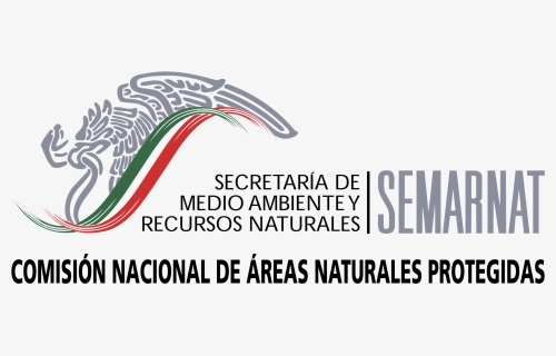 Semarnat Logo Png Transparent - Graphic Design, Png Download, Free Download