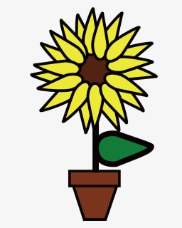 Common Sunflower, Flower, Drawing, Plant, Flora Png - Clip Art, Transparent Png, Free Download