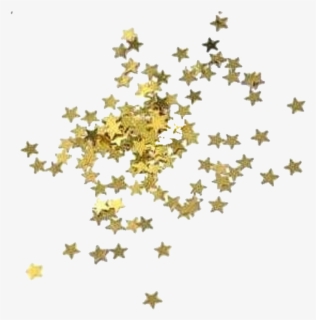 Tickseed, HD Png Download, Free Download