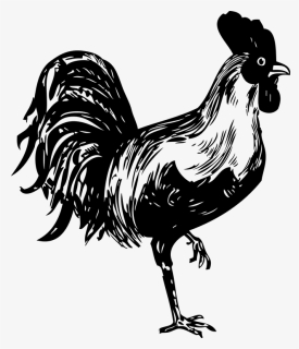 Thumb Image - Rooster Svg Free, HD Png Download, Free Download
