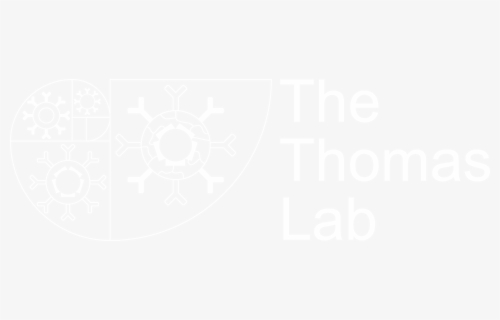 The Thomas Lab - Martyn Thomas He Touched Me, HD Png Download, Free Download