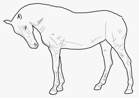 Standing Horse Outline Drawing - Standing Horse Drawing, HD Png Download, Free Download
