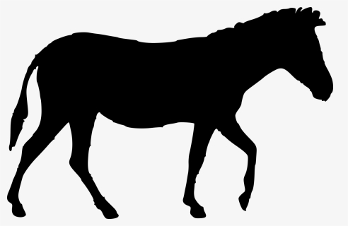Dark Outline Of A Horse - Standing Silhouette Horse, HD Png Download, Free Download